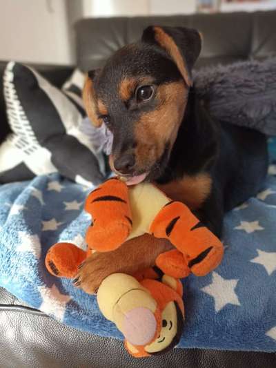 Lieblingsbild-Beitrag-Bild