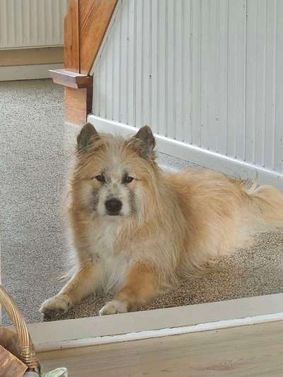 17. Farben Foto Challenge: Pastellfarben-Beitrag-Bild