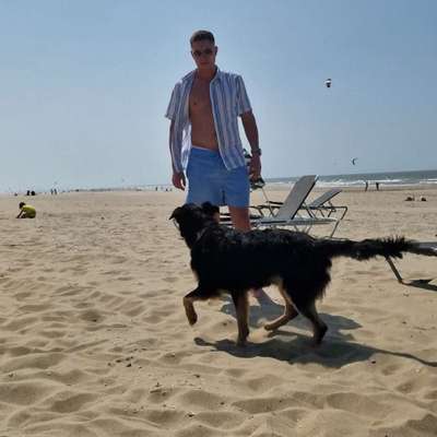 Hundetreffen-Spaziergang oder Café mit Hund-Bild