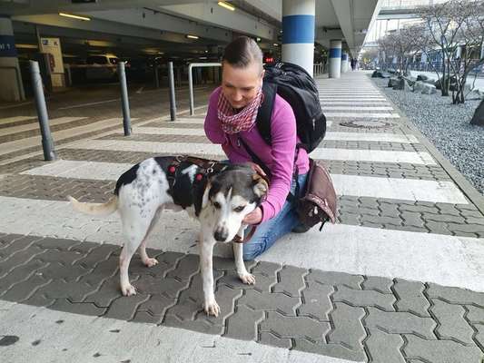 Das erste Foto-Beitrag-Bild