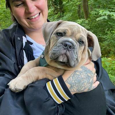 Hundetreffen-Fhain: Welpentreffen - Socialwalk - Training-Bild