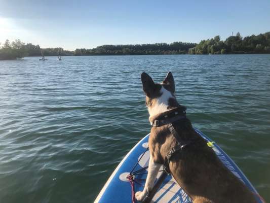 Bayern Urlaub am See-Beitrag-Bild