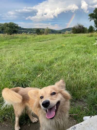 Lieblingsbild :D-Beitrag-Bild