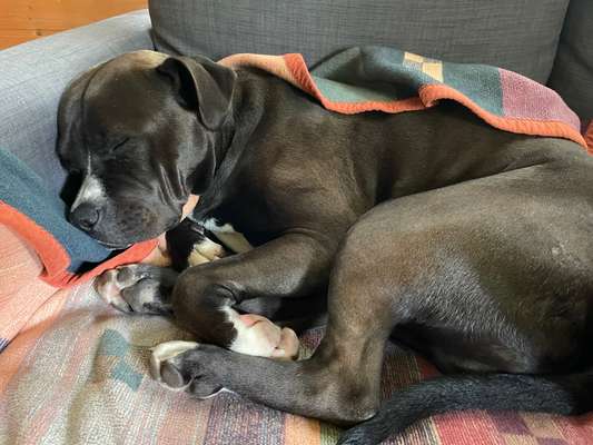 Foto Challenge Nr. 134-Beitrag-Bild