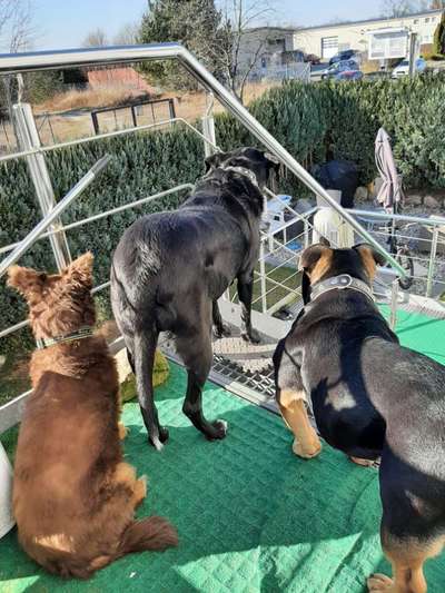 Von oben-Beitrag-Bild