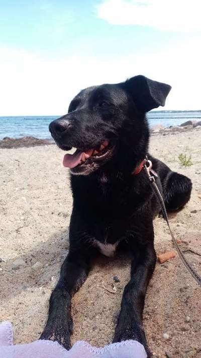 Dogorama Photo Challenge - Der Frühling kommt-Beitrag-Bild