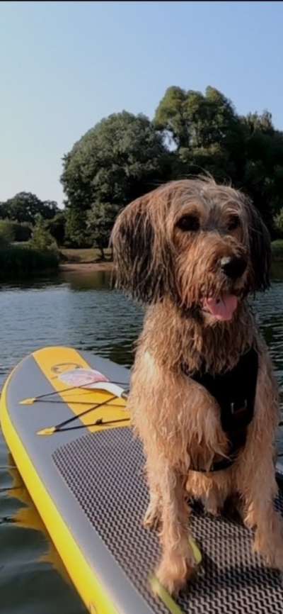 Nicht ganz alltägliche Hundenamen.
Wie kreativ wart ihr?-Beitrag-Bild