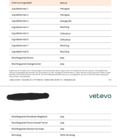 DNA Test-Beitrag-Bild