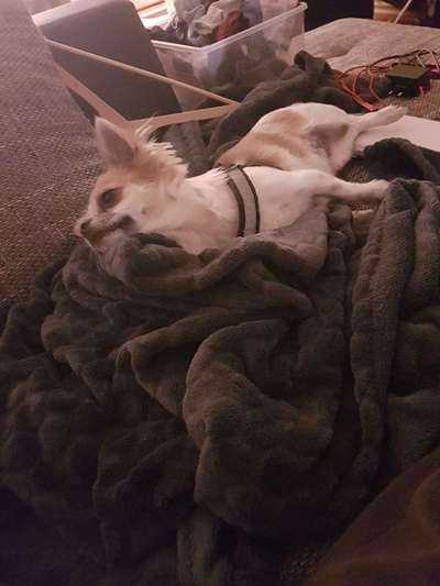 Die unbequemsten und lustigsten Schlafpositionen-Beitrag-Bild