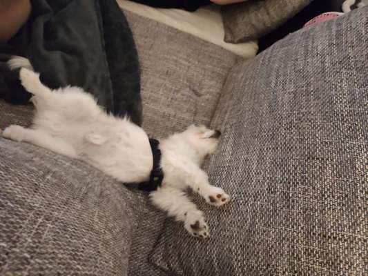 Die unbequemsten und lustigsten Schlafpositionen-Beitrag-Bild