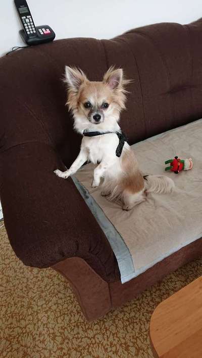 Lieblings Schnappschuss?-Beitrag-Bild