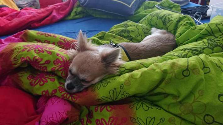 Vorher.... Nachher-Beitrag-Bild