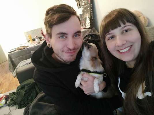 Seelenhunde-Beitrag-Bild