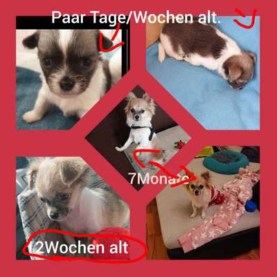 Vorher.... Nachher-Beitrag-Bild