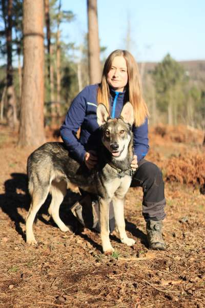 Hundetreffen-Trainingsspaziergänge in Kleingruppe gesucht 😊-Bild