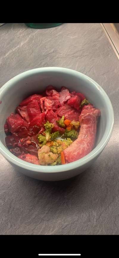 Zeigt her Eure Futternäpfe-Beitrag-Bild