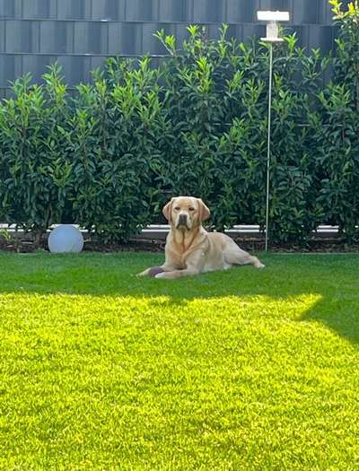 140. Foto Challenge - schattiges Plätzchen-Beitrag-Bild