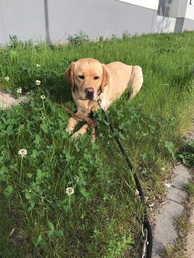 Fotochallenge Nr. 126-Beitrag-Bild