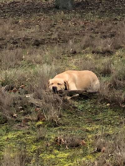 "Die eingefangene Magie des Augenblicks"-Beitrag-Bild