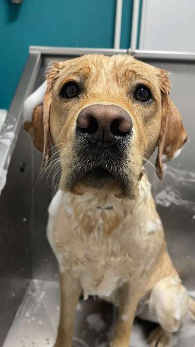 Foto Challenge Nr. 136-Beitrag-Bild