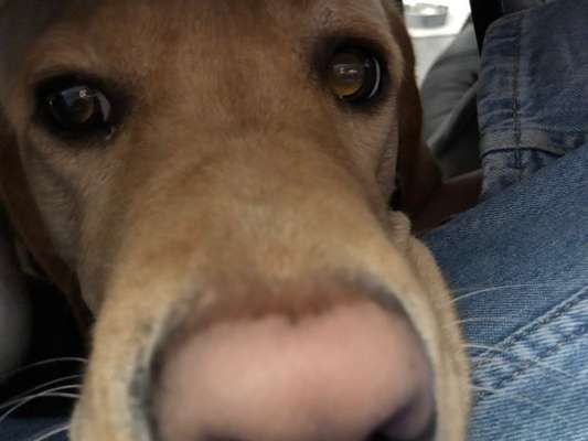 42. Handy Fotochallenge - Den richtigen Riecher haben-Beitrag-Bild