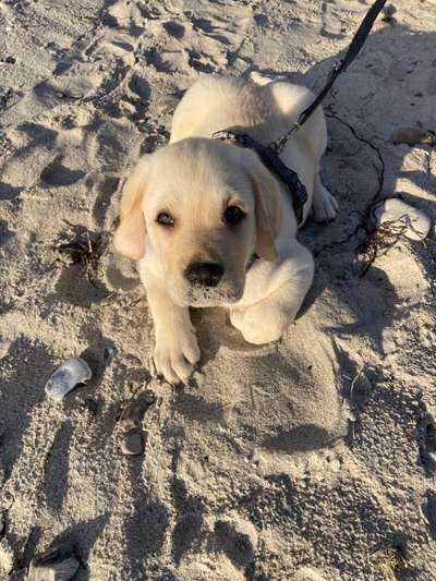 Eure Strandbilder :)-Beitrag-Bild