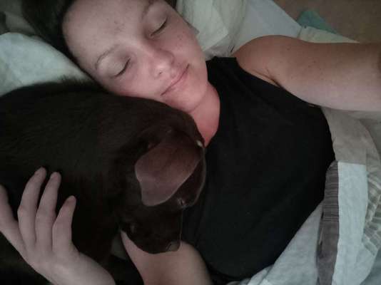 Gemeinsames Kuscheln im Bett!-Beitrag-Bild