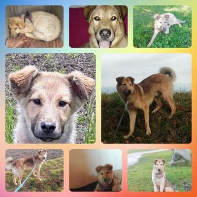 Vorher.... Nachher-Beitrag-Bild