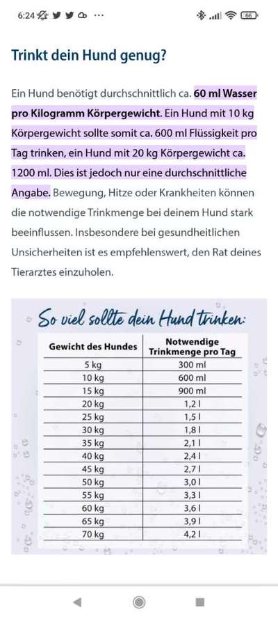 Trinken-Beitrag-Bild