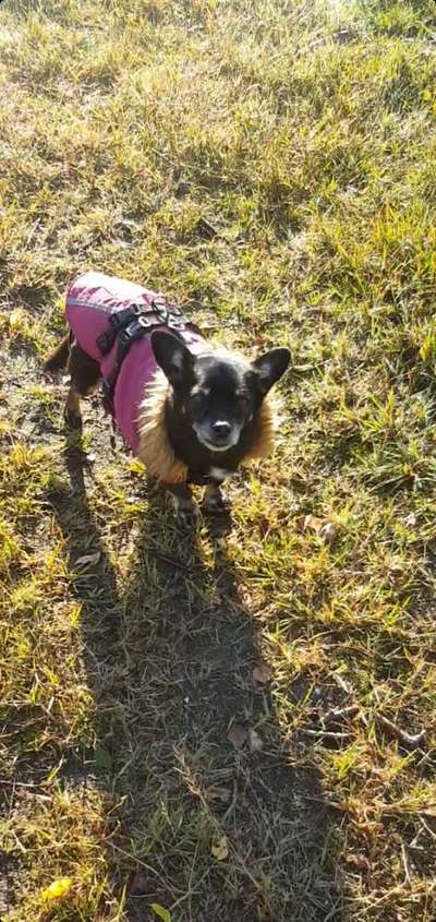 Fotochallenge Nr. 56 - geliebte Senioren-Beitrag-Bild