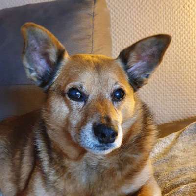 Fotochallange Nr. 57     PORTRÄT.   Beendet!!!!!!!!-Beitrag-Bild