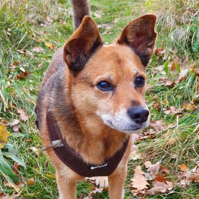 Lieblingsbild :D-Beitrag-Bild