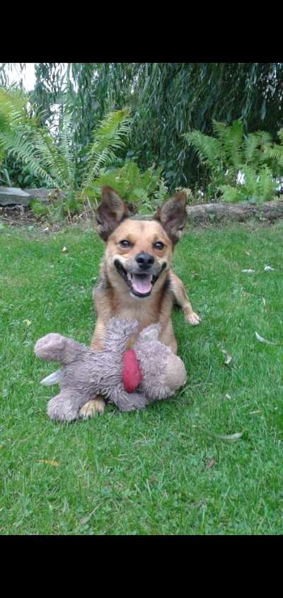 Lieblingsbild :D-Beitrag-Bild