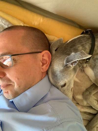 Challenge 33 - Du und dein Hund-Beitrag-Bild