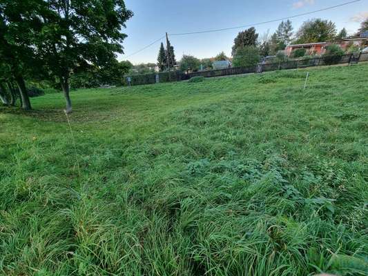 Hundeauslaufgebiet-Teichwiese-Bild