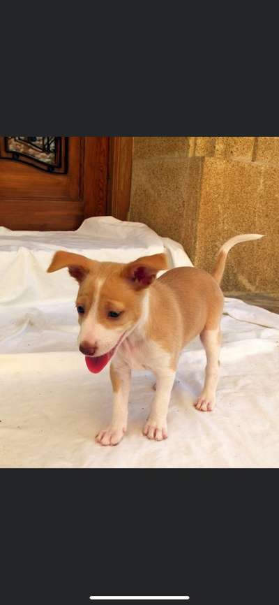 Erstes Bild-Beitrag-Bild