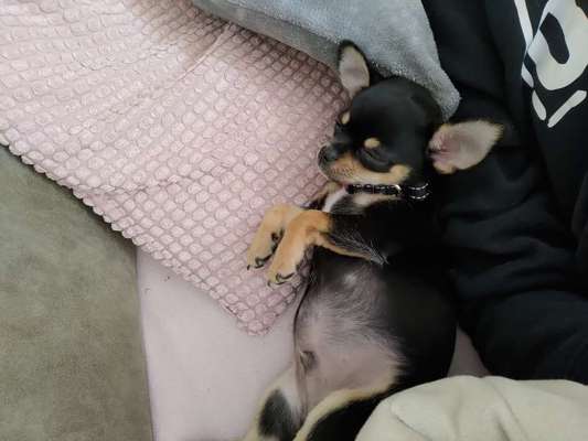 Doppelgänger gesucht !-Beitrag-Bild