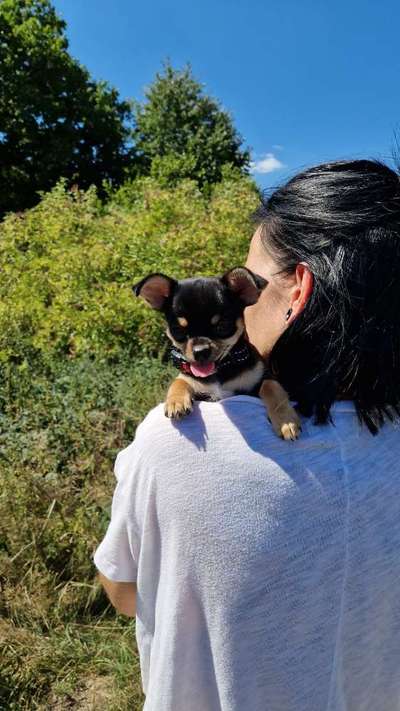 Handyfoto challenge Nr.7-Beitrag-Bild