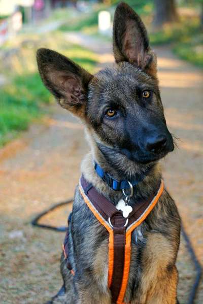 Sie werden so schnell erwachsen ...-Beitrag-Bild