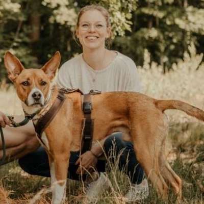 Hundetreffen-Leinenspaziergang ohne Kontakt-Profilbild