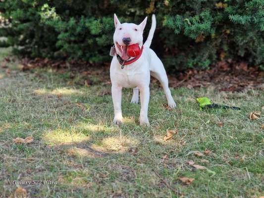 138. Fotochallenge 

(M)Ein Ball und ich-Beitrag-Bild