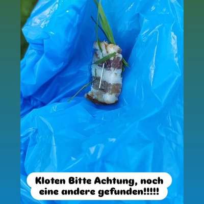 Giftköder-Giftköder-Bild