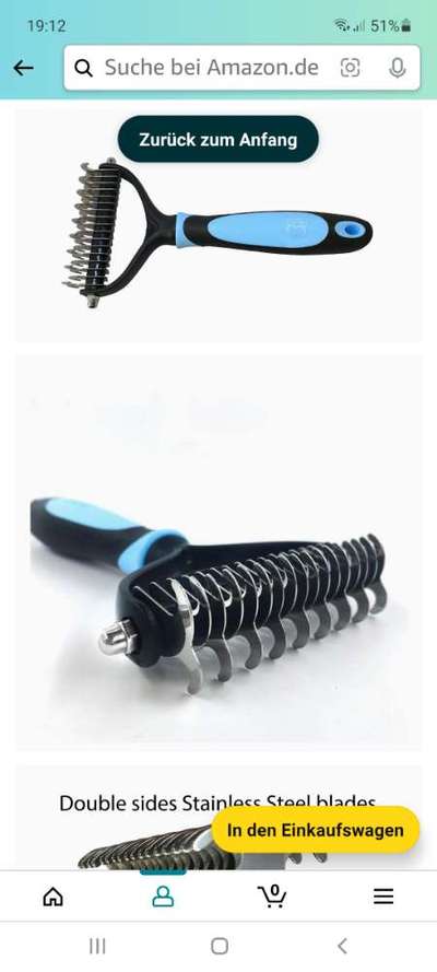 Cavalier King Charles Spaniel?-Beitrag-Bild