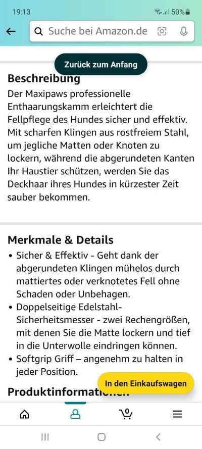 Cavalier King Charles Spaniel?-Beitrag-Bild