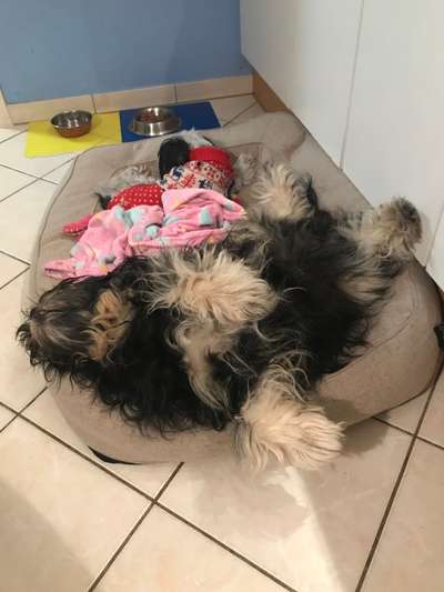 CHALLENGE NR. 34 - Liege-/Schlafpositionen-Beitrag-Bild