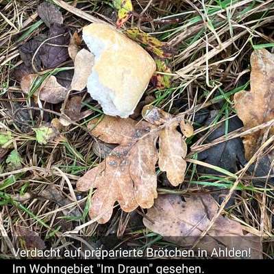 Giftköder-Verdacht auf Giftköder-Bild