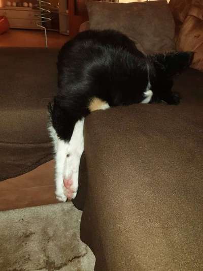 Die unbequemsten und lustigsten Schlafpositionen-Beitrag-Bild