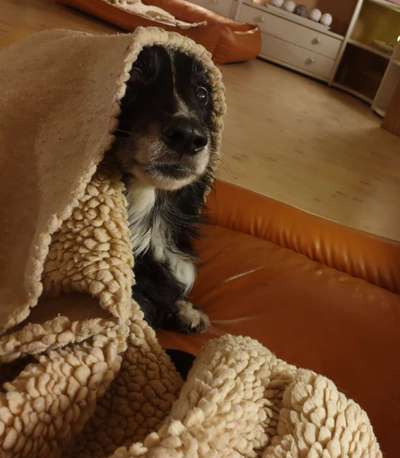 Challenge 21 - wo bin ich : )-Beitrag-Bild