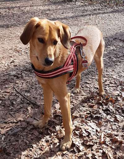 Fotowettbewerb Natur-Beitrag-Bild