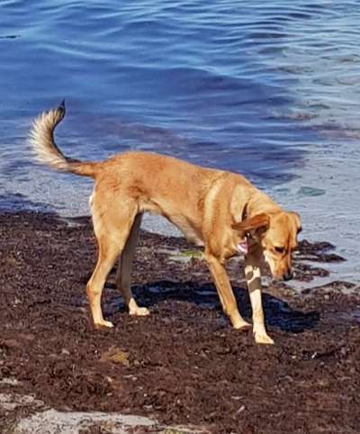 FOTOCHALLANGE NR.71 BADEFREUDE-Beitrag-Bild